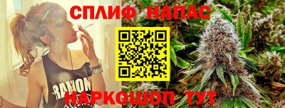 МДПВ Дубна